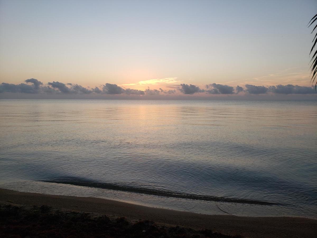 Pal'S On The Beach - Dangriga, Belize Buitenkant foto