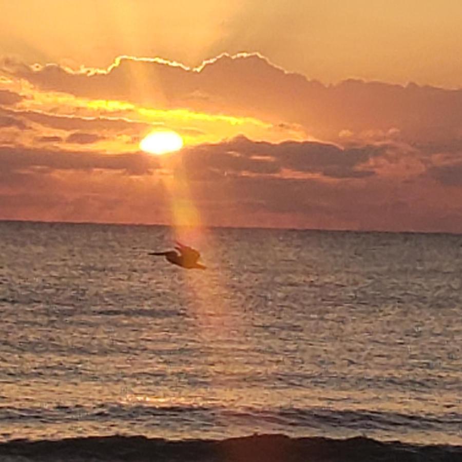 Pal'S On The Beach - Dangriga, Belize Buitenkant foto