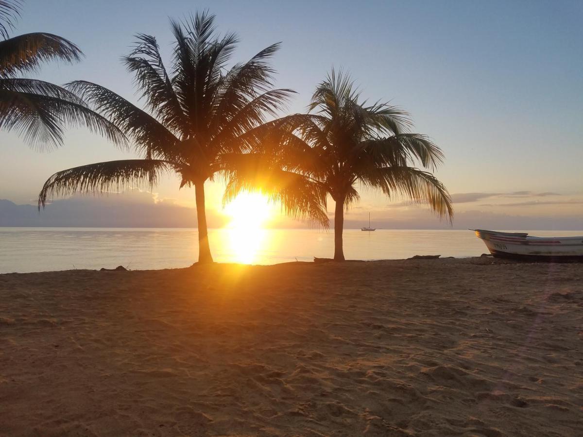 Pal'S On The Beach - Dangriga, Belize Buitenkant foto