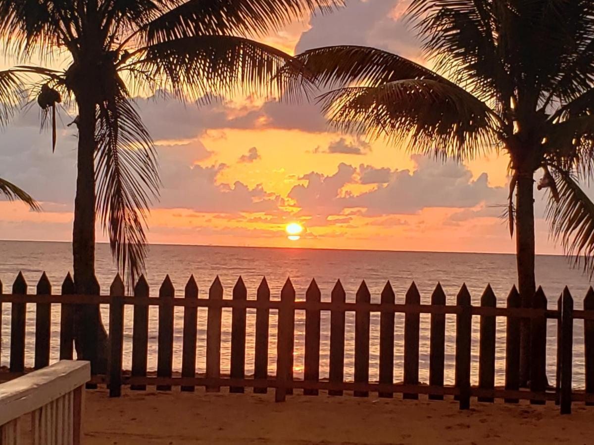 Pal'S On The Beach - Dangriga, Belize Buitenkant foto