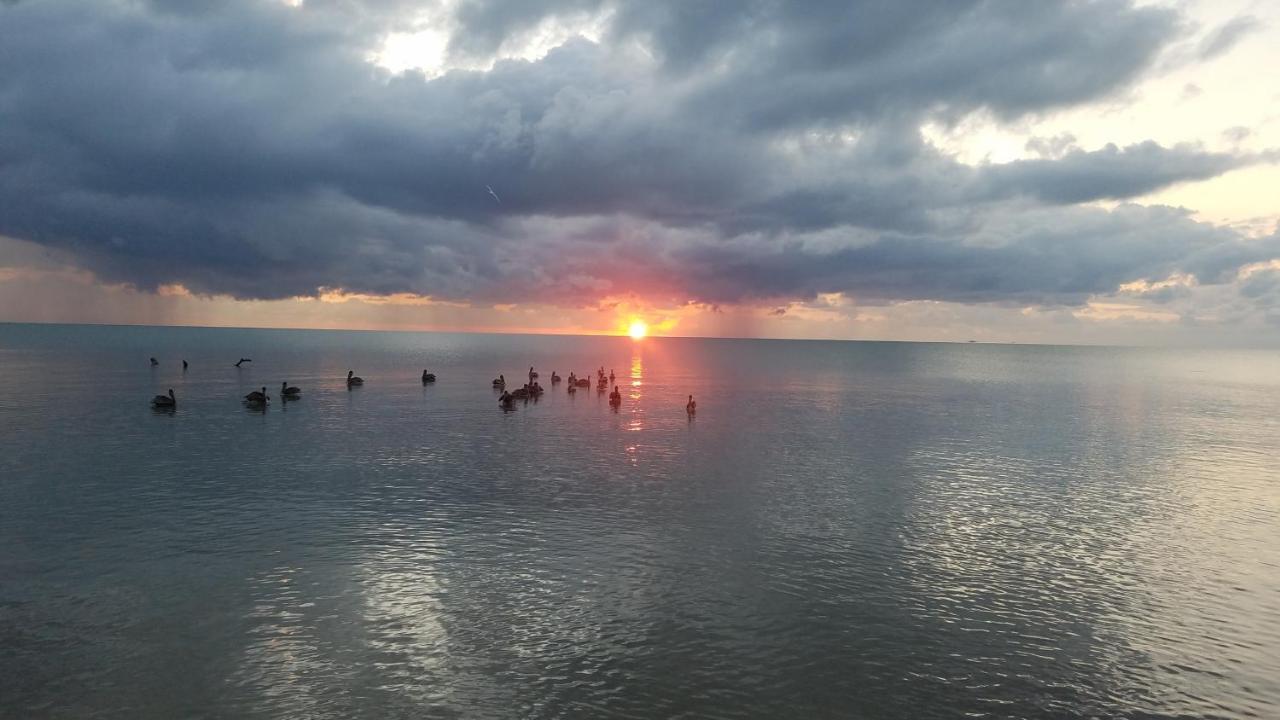 Pal'S On The Beach - Dangriga, Belize Buitenkant foto