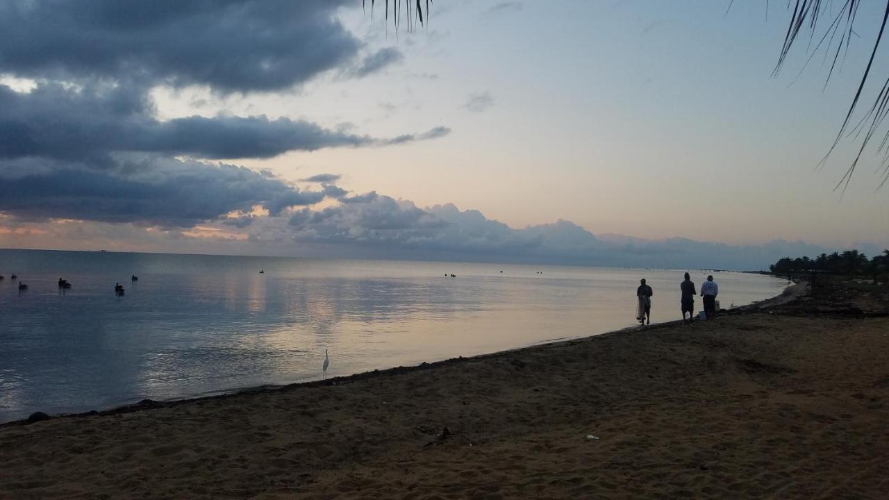 Pal'S On The Beach - Dangriga, Belize Buitenkant foto