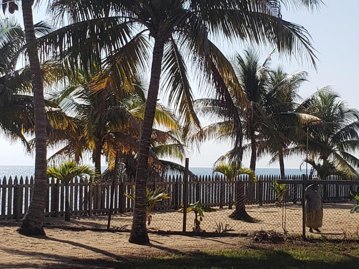 Pal'S On The Beach - Dangriga, Belize Buitenkant foto
